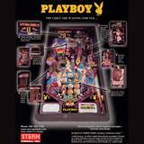 2002 Playboy Pinball Machine by Stern