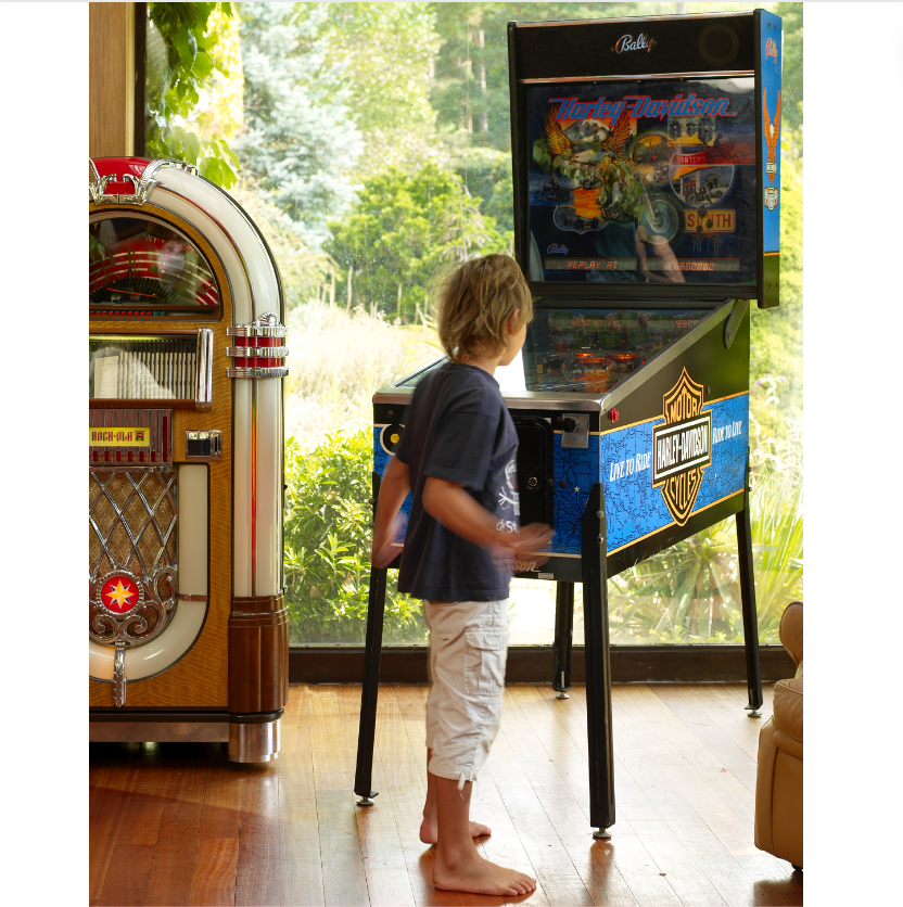 1991 Harley-Davidson Pinball Machine by Bally Midway