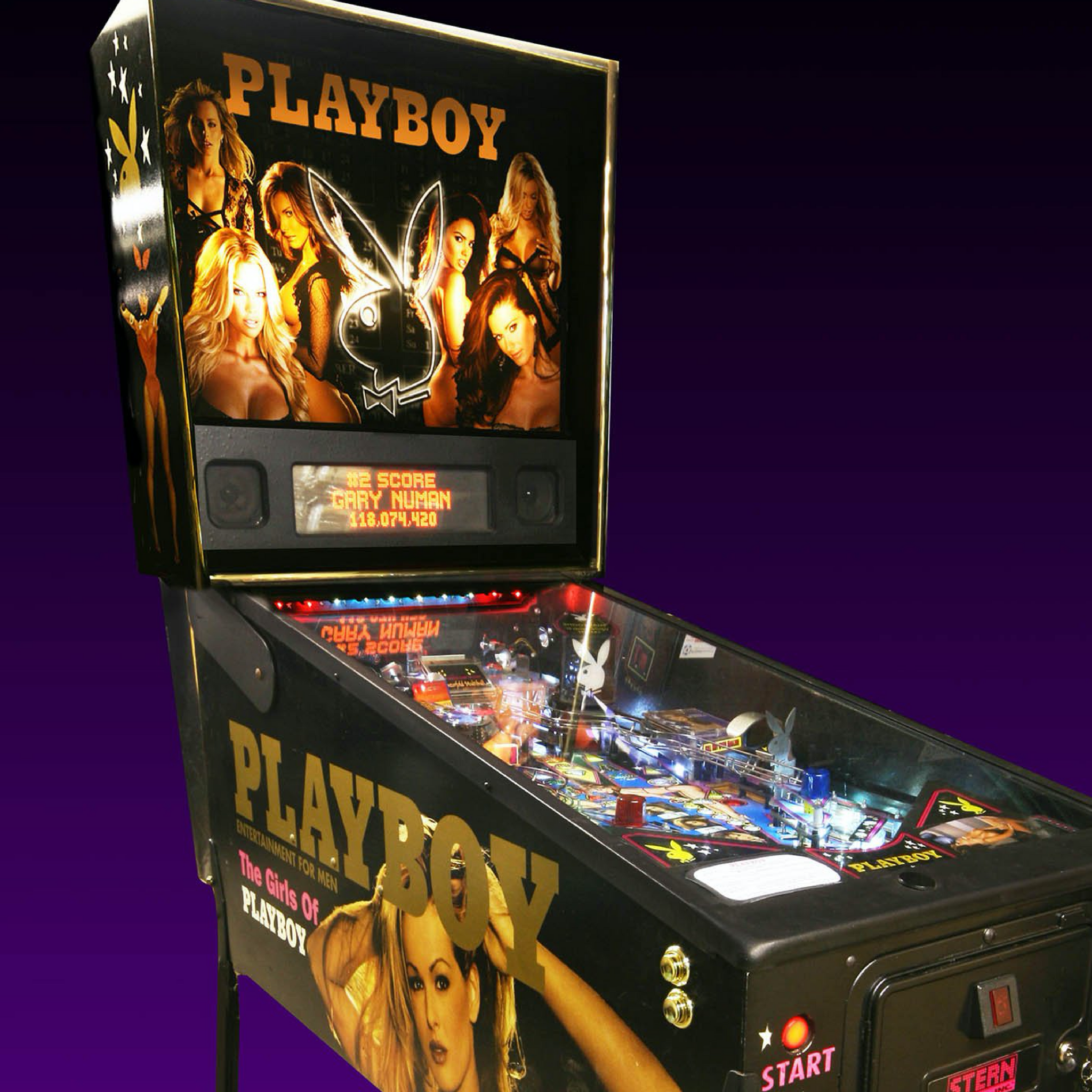 2002 Vintage Playboy Pinball Machine by Stern