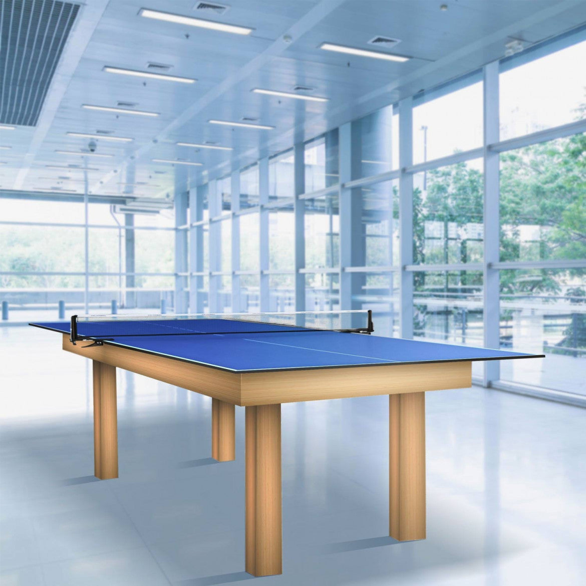 Cornilleau Indoor table tennis tops